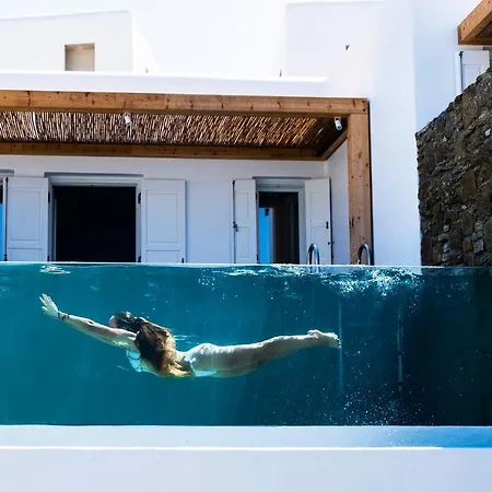 Hotel Amazon Mykonos &