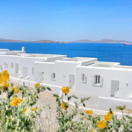 Amazon Mykonos & Hotel